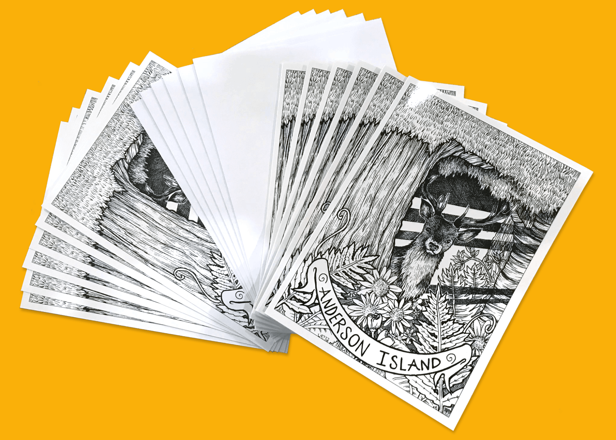 (6) Notecard and postcard set with envelopes